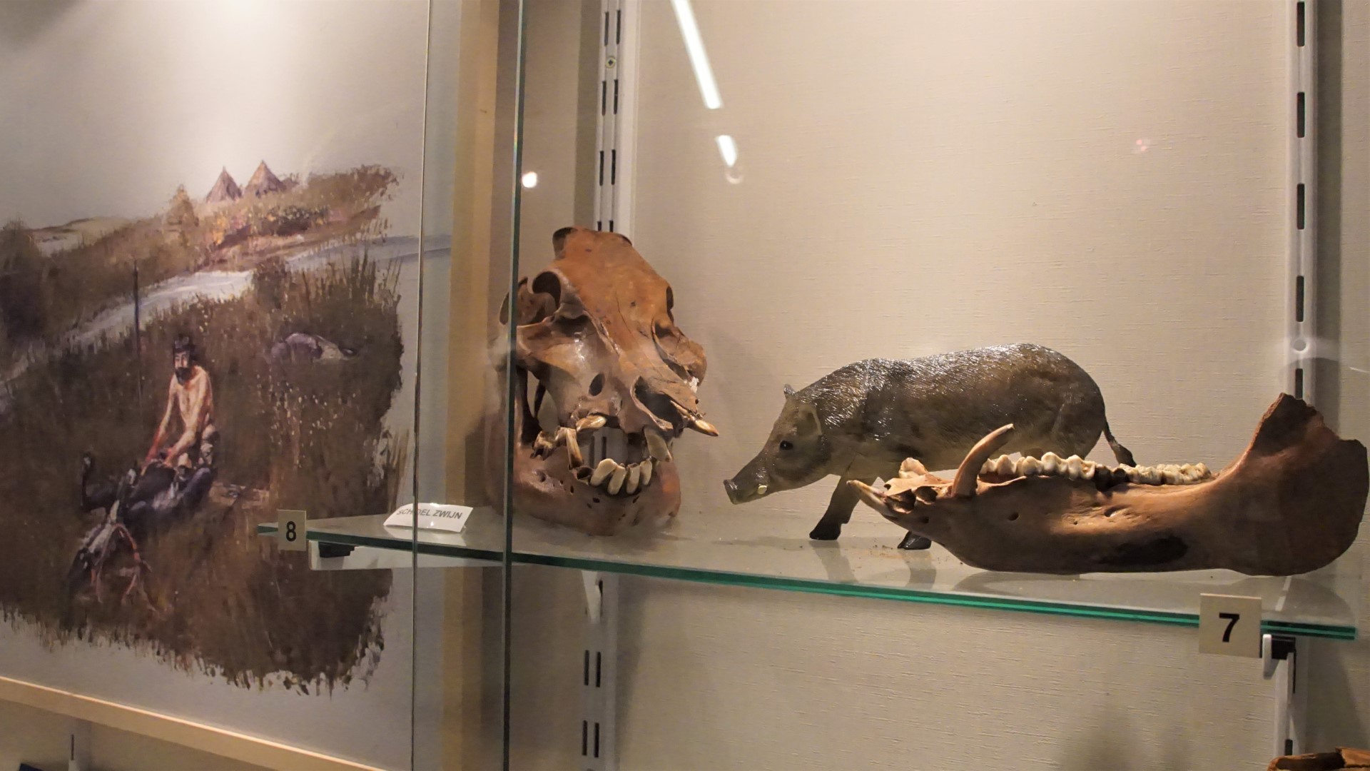 Museum Hertogsgemaal (12) TVkrant