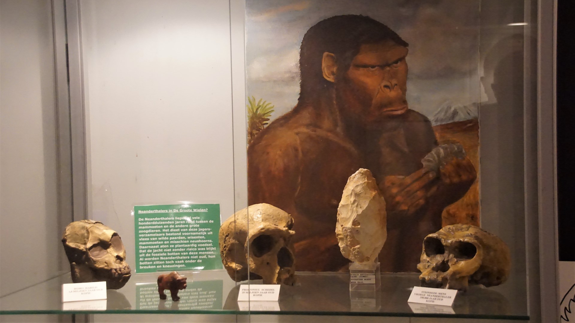 ‘sHertogenbosch Ontdek alle 11+ Musea, Tentoonstellingen & Korting