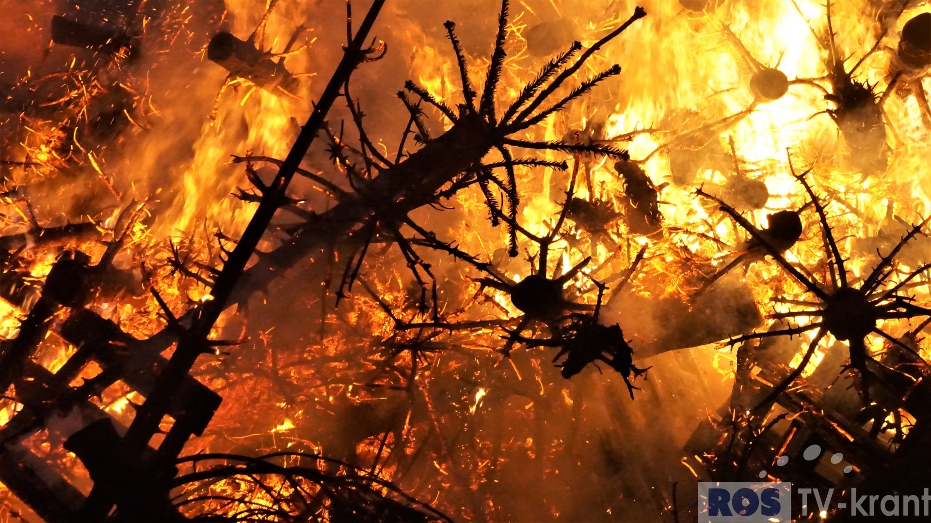 Laatste kerstboom verbranding Overlaet (12) TVkrant